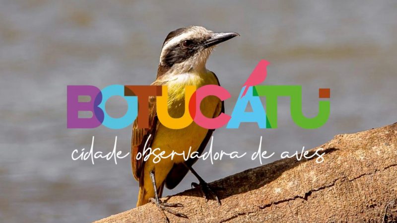 Botucatu aposta na observação de aves como novo atrativo para o turismo