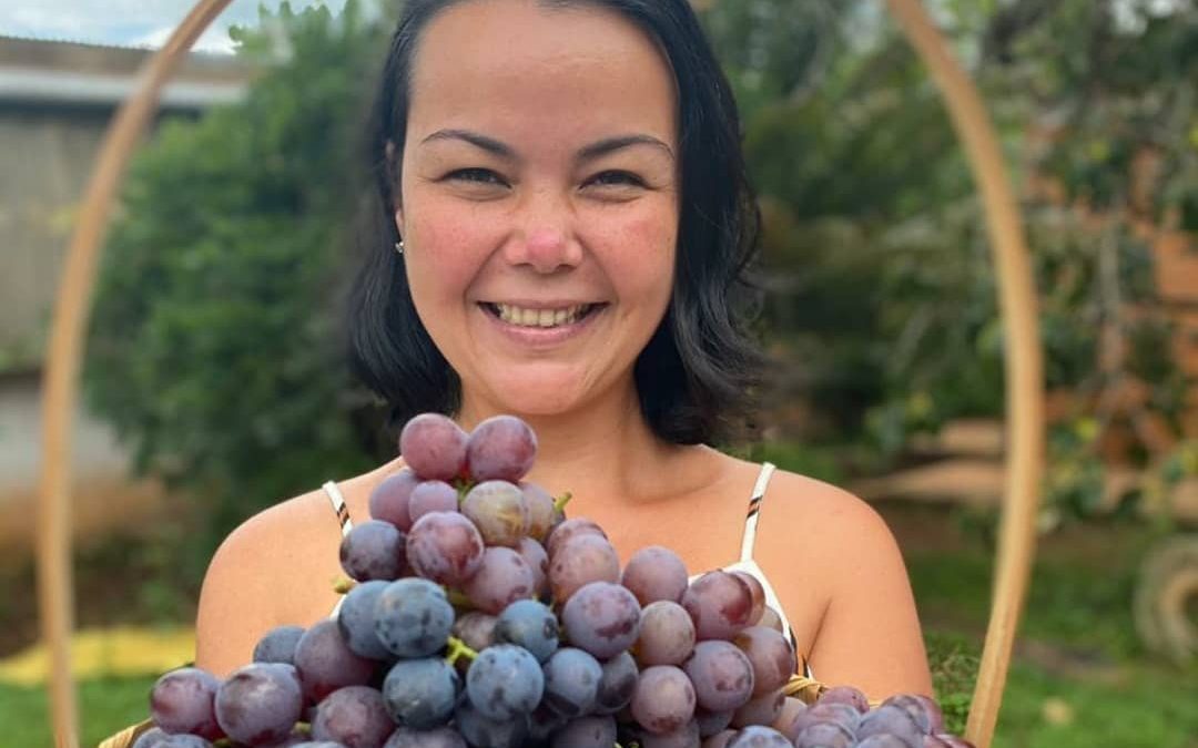 Atrativo rural agrega valor com colheita de uva em Botucatu